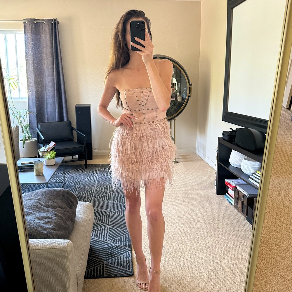 BEBE fitted feather & studded light pink Vegas dress